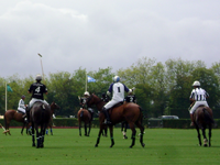 Une compétition de polo, chevaux derrière à Deauville-la-touque