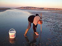 Un pêcheur à pied marée basse plage de Deauville